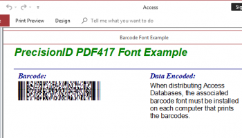 PrecisionID PDF417 Barcode Fonts screenshot