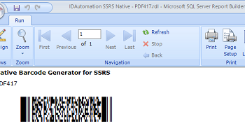 SSRS PDF417 Barcode Generator screenshot