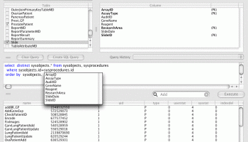 SyBrowser screenshot