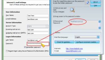 Asterisks Password Viewer screenshot