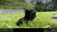 TinyCog Word of the Day screenshot