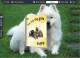puppy Theme for Wise PDF to FlipBook pro